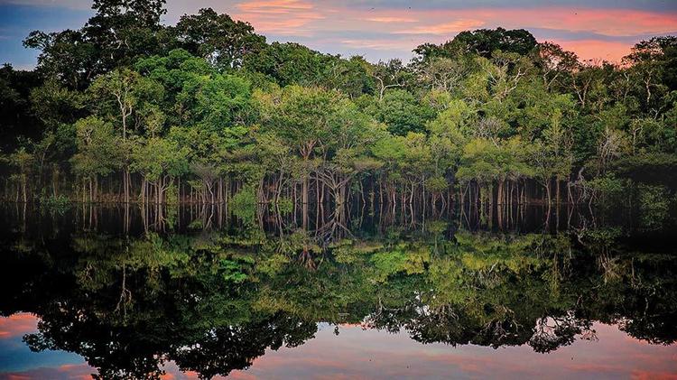 La Amazonia